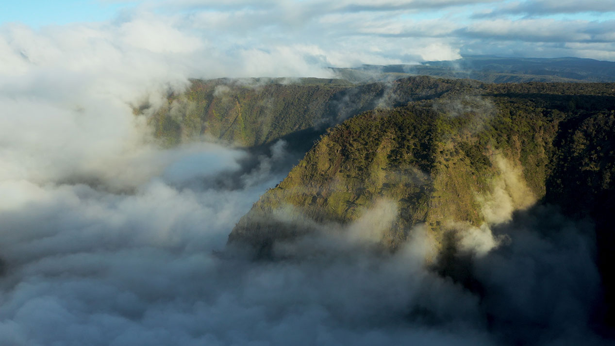 Moana Mountains